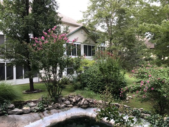 This Pointe Royale Branson condo has a relaxing and beautiful backyard