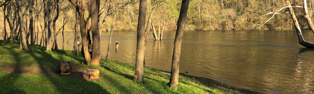 Lake Taneycomo access is available through this Pointe Royale Branson condo