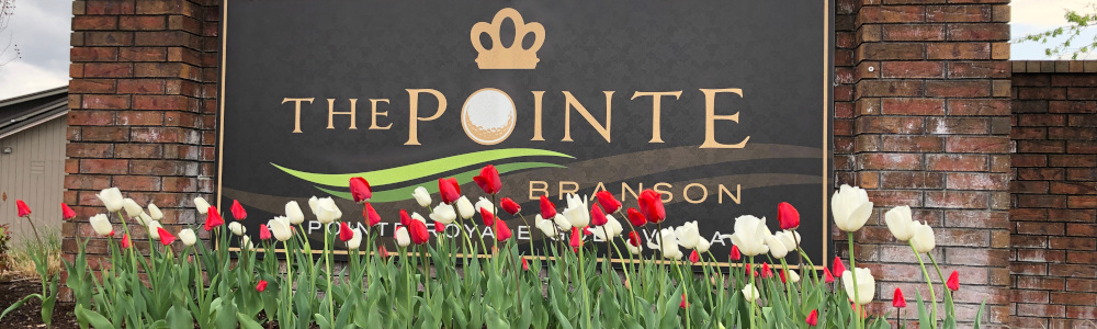 Here are some spring tulips, an example of the beautiful landscaping at Pointe Royale